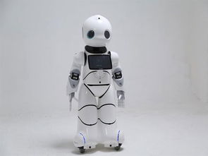 筑夢智能未來 2017年度前沿文化科技產品優友U-Partner機器人研發側記